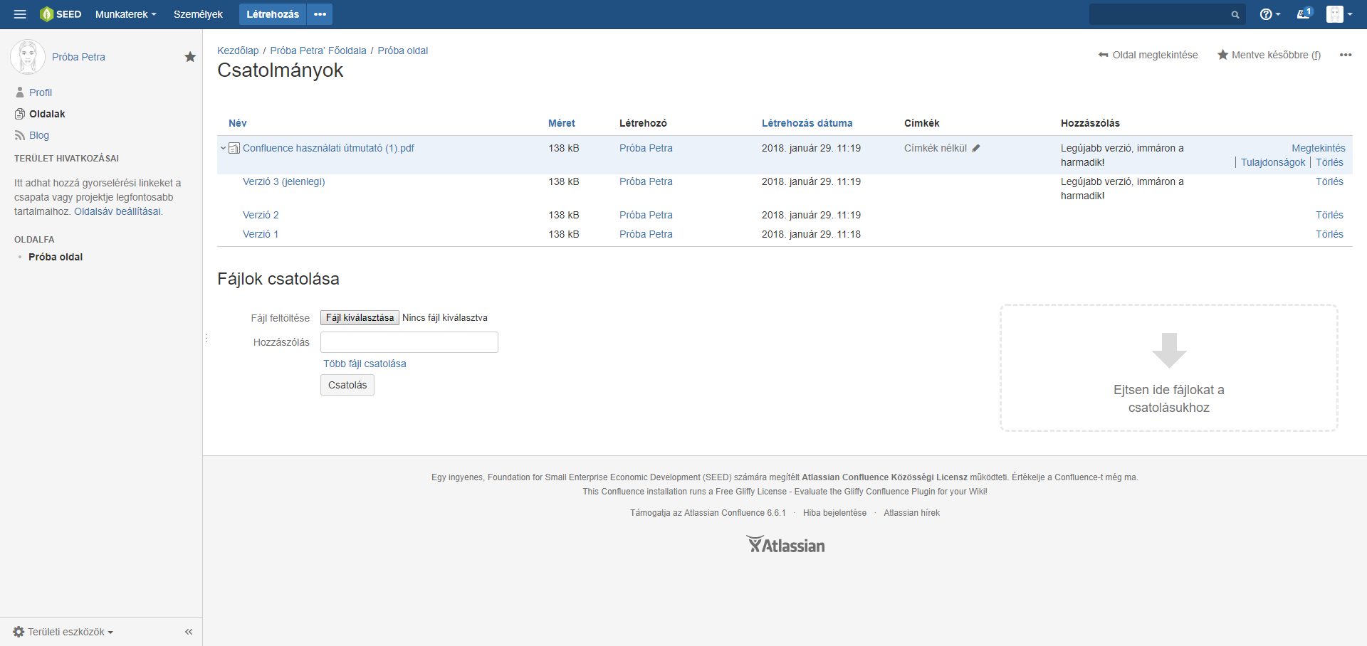 Csatolmány korábbi változatai
